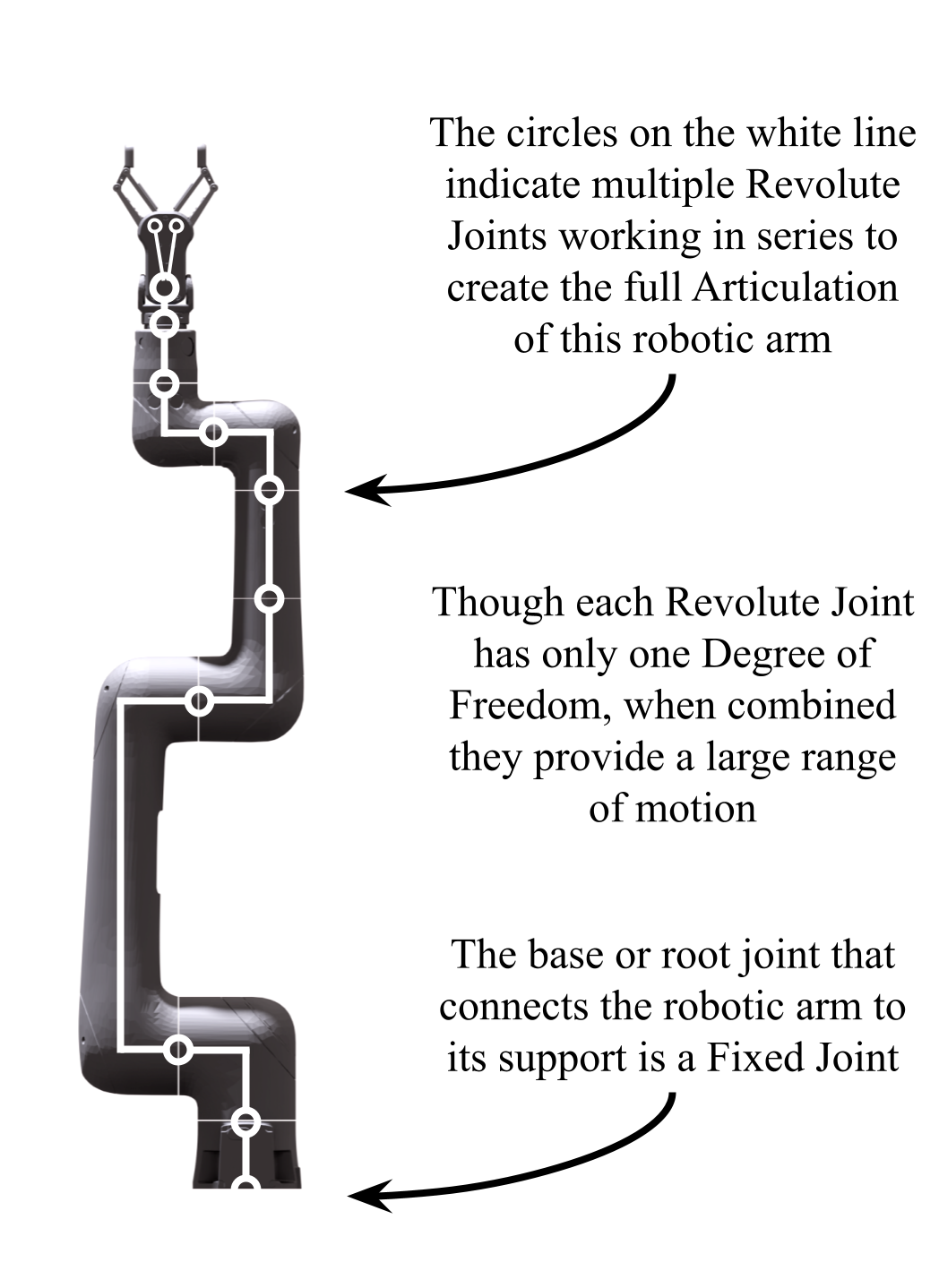 Articulated robot with interconnected joints