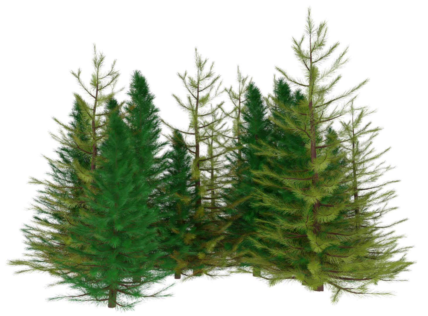 Forest generated by PointInstancer using two types of trees
